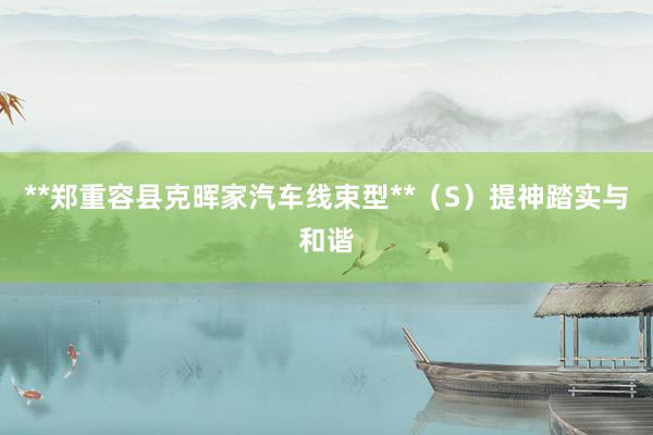 **郑重容县克晖家汽车线束型**(S)提神踏实与和谐